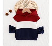 Shein Sudadera con capucha de manga larga con bolsillo de canguro suave de bloques de color para bebé niño