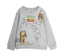 Shein SUDADERA COTTON BRUSHED TOY STORY - TALLA 3 AÑOS