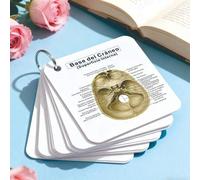 Shein Tarjetas de estudio de flashcards del sistema esquelético en español, tarjetas de anatomía ósea humana para enfermería, estudiantes, la guía definitiv