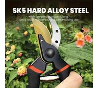 Shein Tijeras de podar para jardinería, para cortar ramas de plantas, arbustos, flores, herramienta de jardinería, recortadora de setos, diseño clásico, man