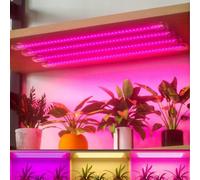 Shein Tira de luz LED para crecimiento de plantas de espectro completo con temporizador y regulable USB 5V para interior, cactus, flores, bonsái, plántulas,