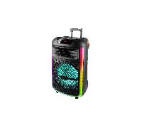Shein Trevi XFest XF 1400 KB - Altavoz inalámbrico de 100 W, altavoz portátil con micrófono con cable incluido, entradas USB, micro SD, entrada auxiliar y g