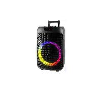 Shein Trevi XFest XF 380 KB - Altavoz inalámbrico de 50 W, Altavoz portátil con micrófono con Cable Incluido, entradas USB, Micro SD, AUX-IN, función TWS, K