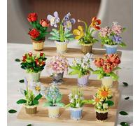 Shein Un set de 300 partículas DIY de flores inmortales, bloques de construcción de macetas suculentas, adecuado para entusiastas y coleccionistas, decoraci