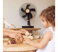 Shein Ventilador de Sobremesa 5 Aspas (Ø 40cm) - 2 días - Desk W500