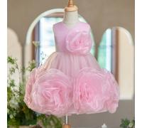 Shein Vestido de fiesta Lulu de malla de tul con flores 3D en rosa princesa para niñas pequeñas en Navidad, boda, fiesta