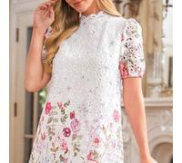 Shein Vestido elegante de encaje en línea A, favorecedora para todos los tipos de Body, vestido para el Día de San Valentín, vestidos rojos elegantes y clás