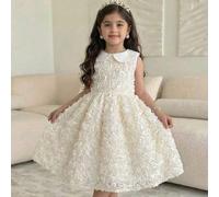 Shein Vestido sin mangas con cuello Peter Pan, bloque de color y tela con flores 3D para niña preadolescente elegante