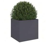 Shein vidaXL Jardinera antracita 49x47x46 cm acier