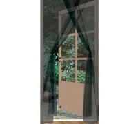 Shein Well Home Juego de 2 mosquiteras negras de poliéster con cinta de velcro - Tamaño 75x220cm. Envió gratis24/72h .
