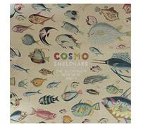 Cosmo Sheldrake The Much Much How How and I (Vinyl) 12" Album