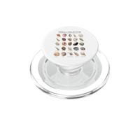 Shell Collector Conchas Marinas comunes del Mundo Arte Vintage PopSockets PopGrip para MagSafe