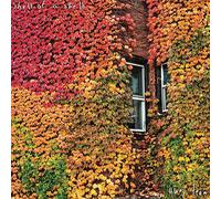 Shell of a Shell Away Team (Vinyl) 12" Album