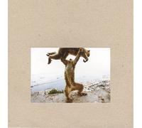 Shellac Dude Incredible (Vinyl) 12" Album with CD