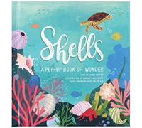 Shells: A Pop-up Book of Wonder