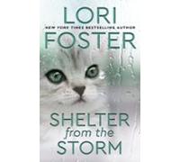 Shelter From The Storm (ebook)