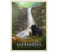 Shenandoah National Park: Bear Family, póster vintage, rompecabezas de 1000 piezas premium para adultos