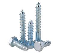 SHENGG DIN571 M6 M8 M10 M12 tornillos autorroscantes hexagonales externos chapados en Zinc blanco de acero al carbono tornillo de madera de diente completo y medio diente(M12x100mm(2pcs))