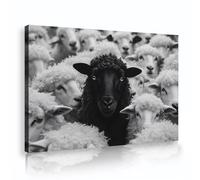 SHENGPOSTER Lienzos de estilo retro Rebaño de ovejas Arte de pared Cuadros blancos y negros Impresión Póster para guardería Dormitorio de adolescentes Decoración del hogar 80x112cm Marco interior