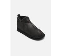 Shepherd Anton 43 Negro