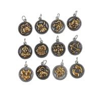 SHERCHPRY 12 Piezas colgante de acero inoxidable Colgante de XXcm Accesorio para collar hermoso colgante del zodiaco encanto del signo del zodiaco adornos colgantes del zodiaco
