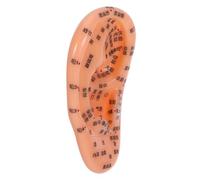 SHERCHPRY Modelo Auricular Herramientas De Reflexología Punto De Acupuntura Oreja Productos De Acupuntura Modelo De Acupuntura De Medicina China Modelo De Oreja De Polivinilo
