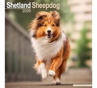 Shetland Sheepdog Calendar 2026 Square Dog Breed Wall Calendar - 16 Month