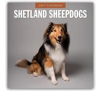 Shetland Sheepdogs 2027 Square Wall Calendar: Original Red Robin Publishing Ltd-Kalender [Mehrsprachig] [Kalender]