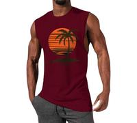 Shfebrinox Camisetas Sin Mangas Tejido Elástico Que Enfría Al Instante Deportiva Peso Muerto Dominadas Tirantes Tallas Grandes Holgada Talla Grande Rebajas Verano Interior Fina Cuello Redondo Algodón