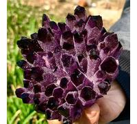 SHFTQXSLAT Beautiful Violet Ghost Phantom Quartz Crystal Cluster Ornaments (Size : 300-400g)