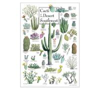 SHFTQXSLAT Desert Southwest Cacti & Plants Botanical Poster, Arizona New Mexico Landscape Wall Art for Classroom, Office, Bedroom Decor(Framed,08x12inch(20x30cm))