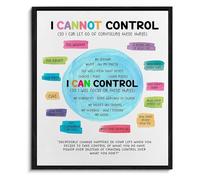 SHFTQXSLAT Mental Health Poster What I Can Control vs Cannot Control Psychology Wall-Art for Anxiety Office Classroom Decor(Unframed,16x24inch(40x60cm))