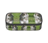 shgwehh Estuche grande para niños y niñas, diseño de palmeras tropicales con compartimentos grandes para escuela, oficina, viajes, color azul, Ardilla 2, Talla única, Organizador de bolsas