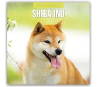 Shiba Inu 2025 Square Wall Calendar