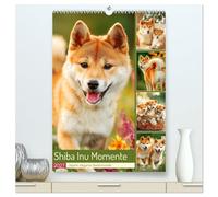 Shiba Inu Momente. Japans elegante Seelenhunde (hochwertiger Premium Wandkalender 2027 DIN A2 hoch), Kunstdruck in Hochglanz: Stimmungsvolle Bilder, ... und Charakter dieser schönen Hunde einfangen
