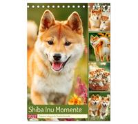 Shiba Inu Momente. Japans elegante Seelenhunde (Tischkalender 2027 DIN A5 hoch), CALVENDO Monatskalender: Stimmungsvolle Bilder, die den Charme und Charakter dieser schönen Hunde einfangen