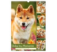 Shiba Inu Momente. Japans elegante Seelenhunde (Wandkalender 2027 DIN A3 hoch), CALVENDO Monatskalender: Stimmungsvolle Bilder, die den Charme und Charakter dieser schönen Hunde einfangen