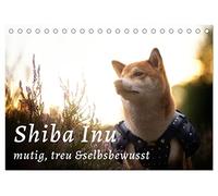 Shiba Inu - mutig, treu, selbstbewusst (Tischkalender 2026 DIN A5 quer), CALVENDO Monatskalender: Der kleine Japaner mit dem großen Lächeln und großen Gefühlen