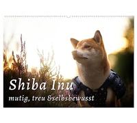 Shiba Inu - mutig, treu, selbstbewusst (Wandkalender 2026 DIN A2 quer), CALVENDO Monatskalender: Der kleine Japaner mit dem großen Lächeln und großen Gefühlen