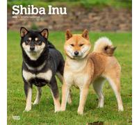 Shiba Inu - Shiba 2026 - 16-Monatskalender: Original BrownTrout-Kalender [Mehrsprachig] [Kalender]