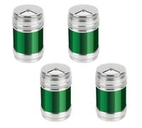 SHIDOW 4 tarros de condimentos de acero inoxidable, botellas de especias para barbacoa, salero y pimentero de primera calidad con agujeros de vertido ajustables, elegante dispensador de sal y pimienta