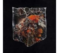 Shields - Death & Connection [Vinilo]