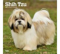 Shih Tzu 2026 12 X 24 Inch (Hanging) Monthly Square Wall Calendar Plastic-Free