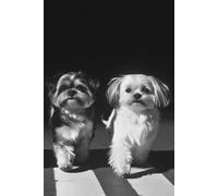 Shih Tzu: A Journal for Dog Lovers: A Delightful Tribute to Shih Tzu Lovers Everywhere!