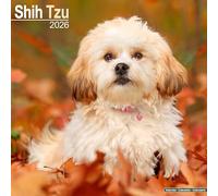 Shih Tzu Calendar 2026 Square Dog Breed Wall Calendar - 16 Month
