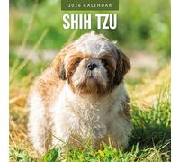 Shih Tzu - Calendario de pared cuadrado 2026 Red Robin Publishing