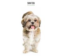 Shih Tzu - Calendario delgado 2026