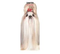 Shih Tzu - Calendario delgado 2027