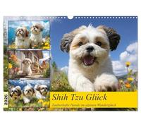 Shih Tzu Glück. Zauberhafte Hunde im alpinen Wanderglück (Wandkalender 2026 DIN A3 quer), CALVENDO Monatskalender: Herrlich heitere Höhenabenteuer mit Shih Tzus in Wanderlaune