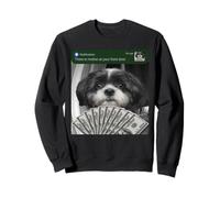 Shih Tzu Hay Movimiento en tu Puerta Principal Perro Tonto Sudadera